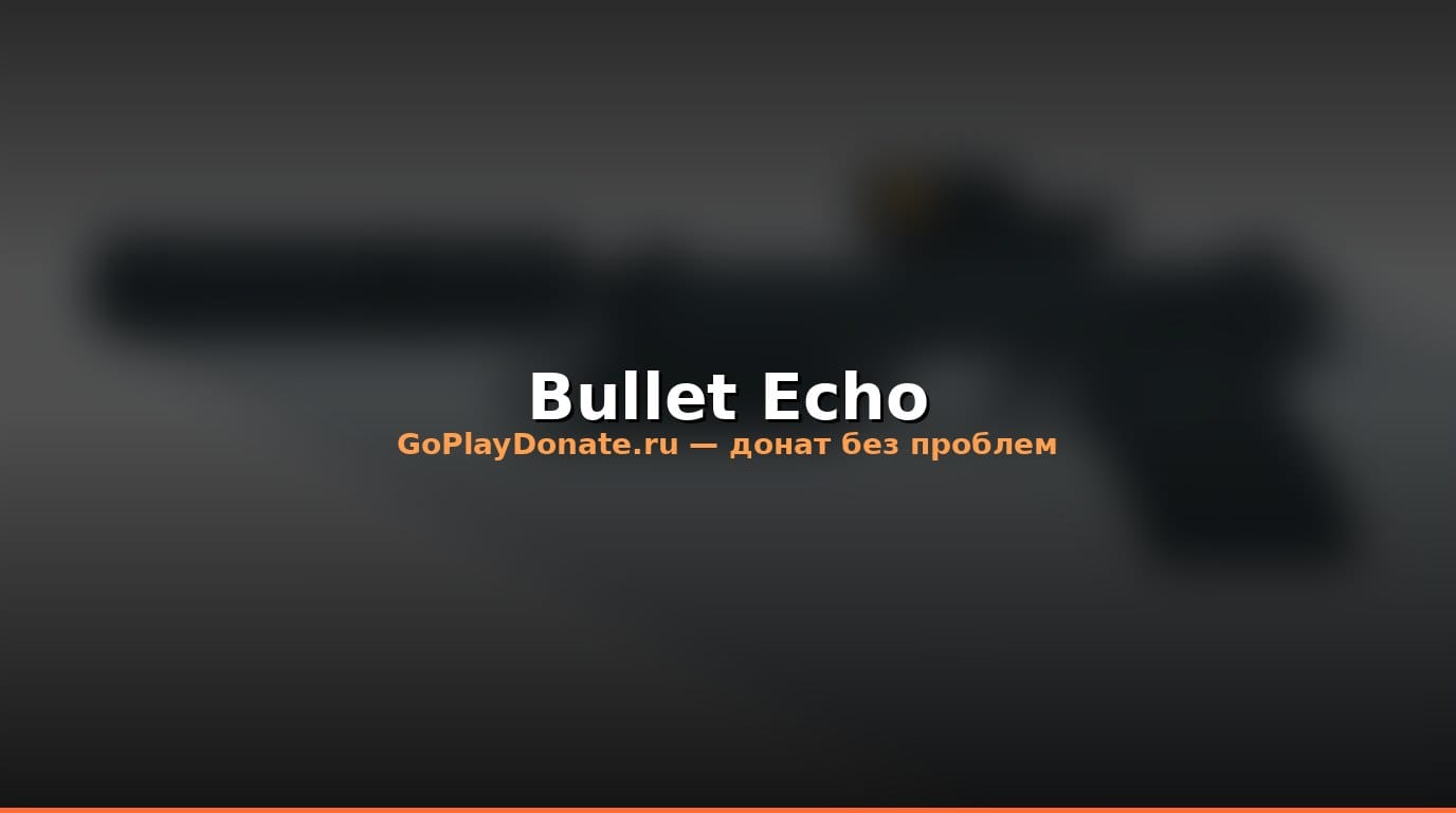 Баннер Bullet Echo